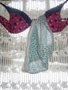 holistic health remove makeup bra