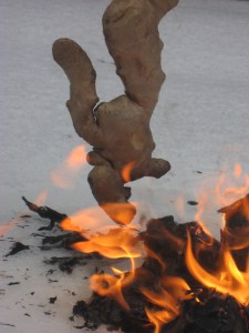 anti cancer ginger on fire
