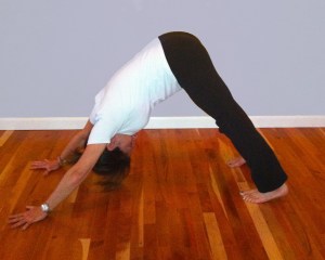 kathy myron down dog